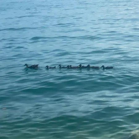 10 Minuti Dal Di Garda E Da Gardaland Castelnuovo del Garda