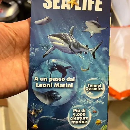 10 Minuti Dal Di Garda E Da Gardaland Apartment Castelnuovo del Garda